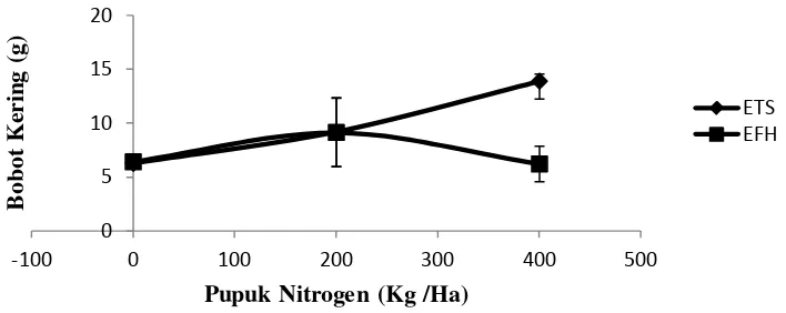 Grafik 6. Grafik Perbandingan bobot kering E. indica pada biotip ETS dan EFH pada  pemberian pupuk nitrogen
