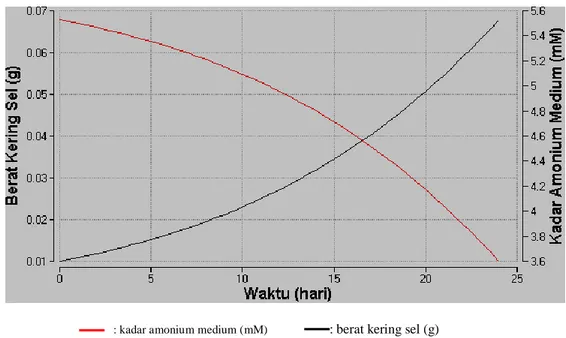 Gambar 7. Hubungan laju pertumbuhan biomassa dengan konsumsi amonium  4.  KESIMPULAN  