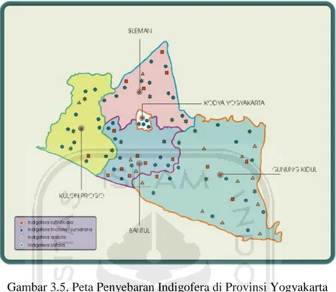 Gambar 3.5. Peta Penyebaran Indigofera di Provinsi Yogyakarta  3.3.1.3 Penanaman 