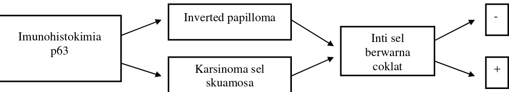 Gambar 2.6.  Skema Kerangka Konsepsional 