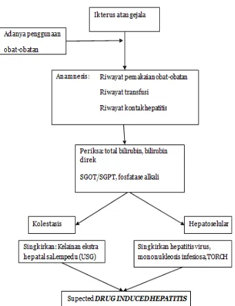 Gambar 7. Bagan alur penegakan diagnosis DILI (Purnomo, 2012). 