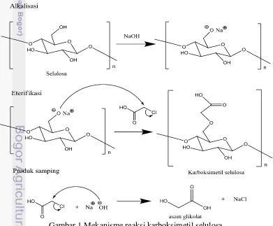 Gambar 1 Mekanisme reaksi karboksimetil selulosa 