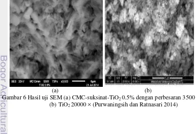 Gambar 6 Hasil uji SEM (a) CMC-suksinat-TiO2 0.5% dengan perbesaran 3500 ×, 