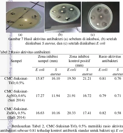 Gambar 7 Hasil aktivitas antibakteri (a) sebelum di inkubasi, (b) setelah 
