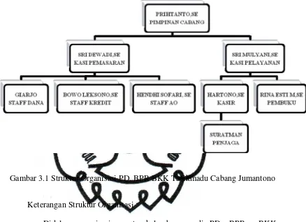 Gambar 3.1 Struktur Organisasi PD. BPR BKK Tasikmadu Cabang Jumantono 