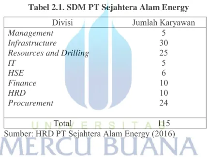 Tabel 2.1. SDM PT Sejahtera Alam Energy 