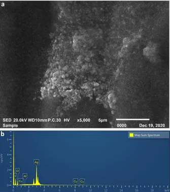 Gambar 4. Larutan nanopartikel Ag 0  hasil reduksi 