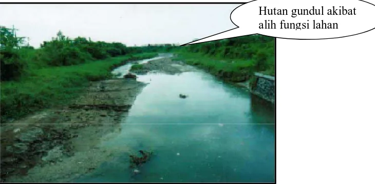 Gambar 2 : (b)  Banjir juga terjadi akibat alih fungsi hutan di DAS Babon 
