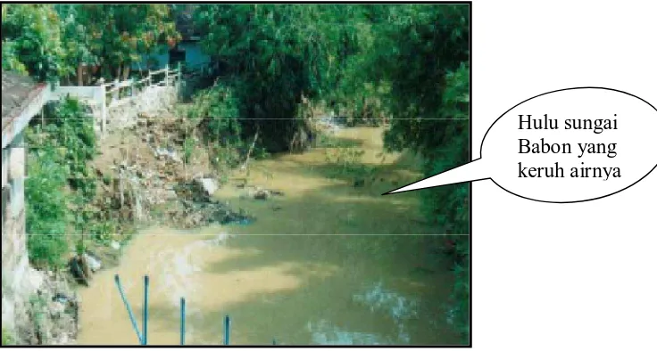 Gambar 2 : (a)  Banjir kiriman terjadi di daerah hilir         akibat berubahnya fungsi lahan di hulu Sungai Babon