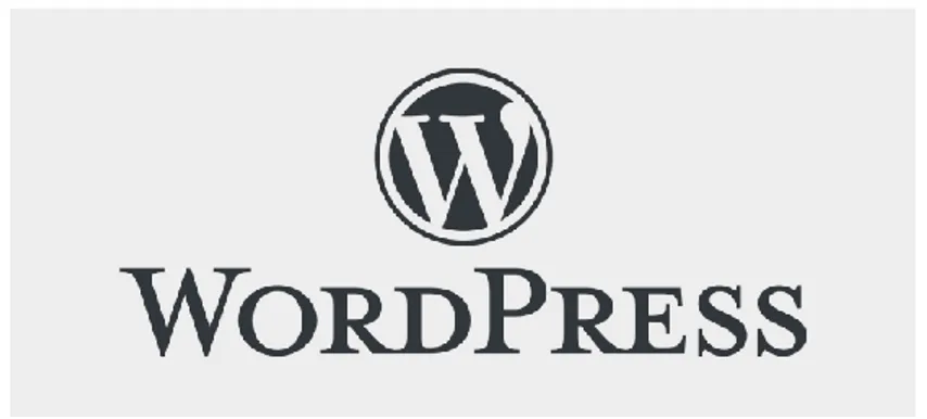 Gambar 4. 2 Platform WordPress