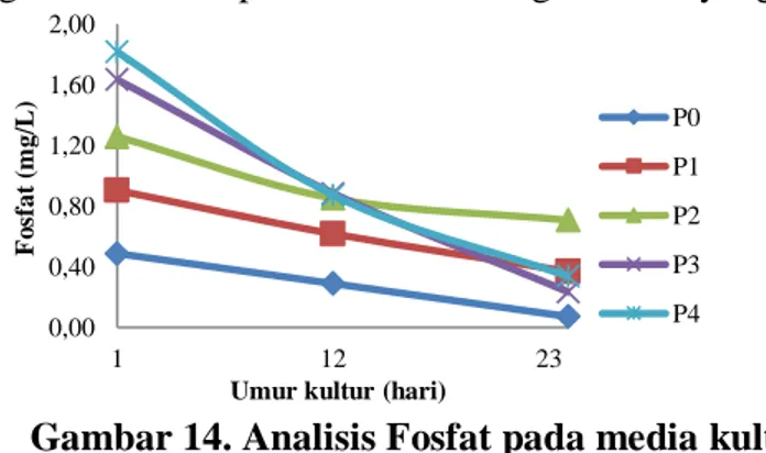 Gambar 14. Analisis Fosfat pada media kultur Chlorella sp. 