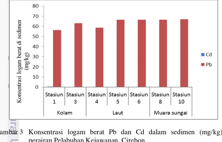 Gambar 3 Konsentrasi logam berat Pb dan Cd dalam sedimen (mg/kg) di 