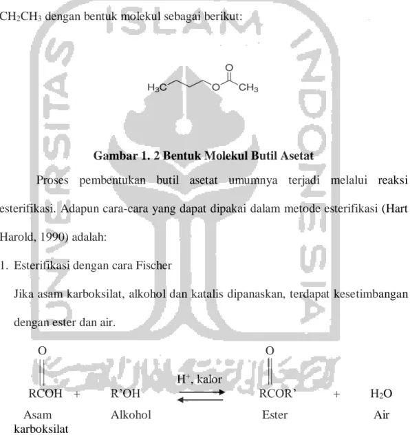 Gambar 1. 2 Bentuk Molekul Butil Asetat 