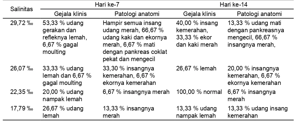 Tabel 2. Gejala klinis dan patologi anatomi udang  pada berbagai salinitas setelah diuji tantang.