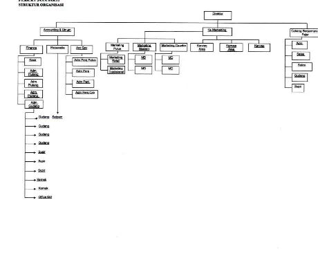 Gambar  4.1   Struktur Organisasi PT. RICKY JAYA SAKTI  