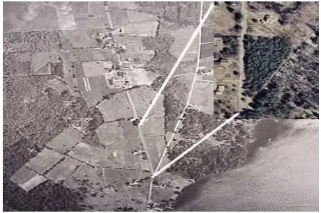 Figure 9. Aerial photo of the study site ca. 1949 and in 1998 (inset) showing the regeneration of the forest