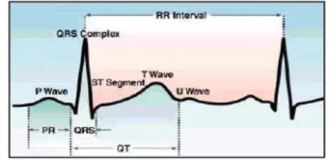 Gambar 2. Anatomi Sinyal ECG (PQRST-Wave) 