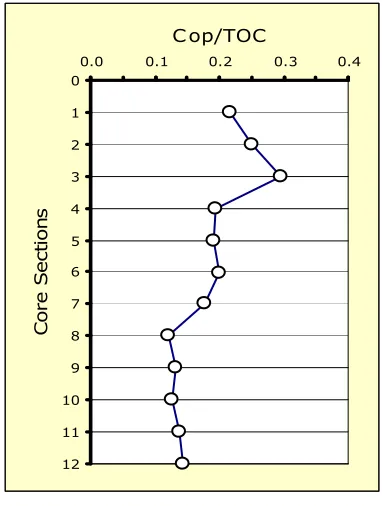 Fig. 4 Depth profile of normalized coprostanol  