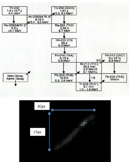 Gambar 15. Hasil pengamatan radiasi sinar Alfa Dan Beta energi Tinggi (Thorium) Uranium	-	uraninit