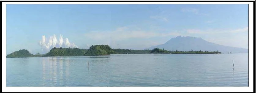 Gambar 4.6.  Pulau Gili Rakit yang Dipergunakan Penduduk                        Kecamatan Tarano dan Sekitarnya Sebagai Lar 