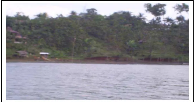 Gambar 4. Foto stasiun I daerah aliran Sungai Dewi 