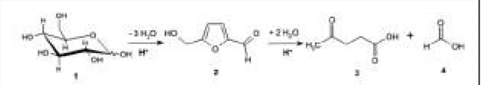 Gambar 1.2. Mekanisme Reaksi Dekomposisi Glukosa menjadi Asam Levulinat  Menggunakan Katalis Asam H2SO4