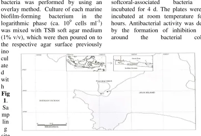 Fig 1. Sa