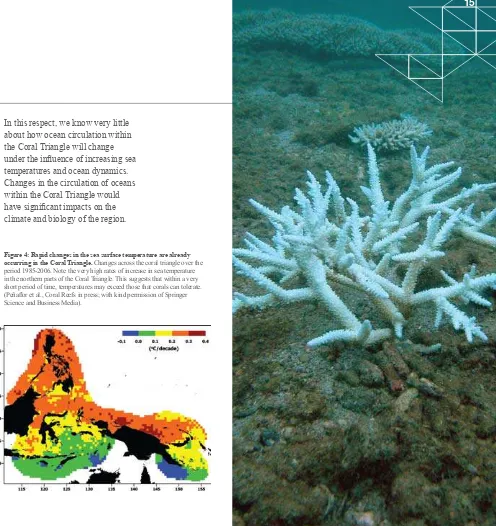 Figure 4: Rapid changes in the sea surface temperature are already 