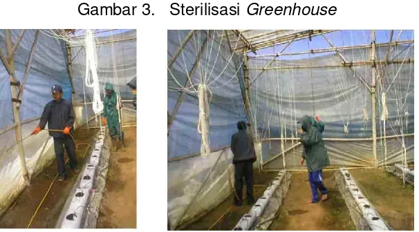 Gambar 3.   Sterilisasi Greenhouse 
