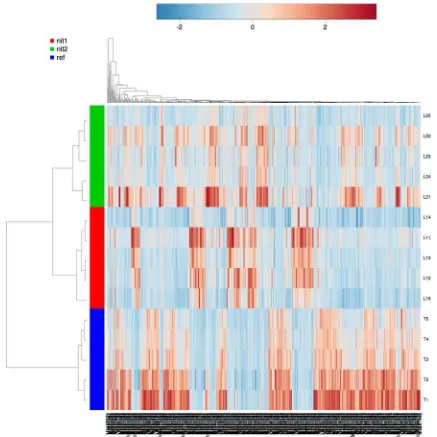 Fig. 3 Heatmap displaying the 560 LC-HRMS features selectedaccording to the Kruskall Wallis p value results