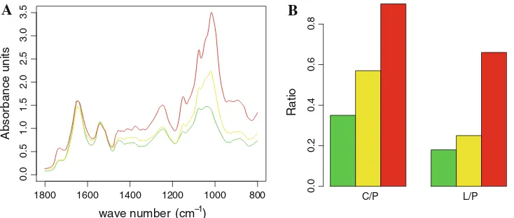 Fig. 1 FTIR spectra of Chlamydomonas reinhardtii entire cellscultured under progressive nitrogen limited conditions