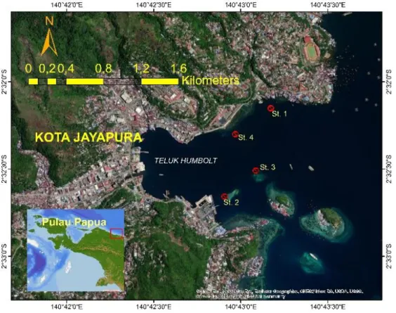Gambar 1. Lokasi penelitian nudibanch di Teluk Humbolt Kota Jayapura 