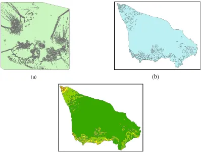 Gambar 3.19  Tampilan (a) Raster To Features, b) Cropping area penelitian dan (c) Peta 