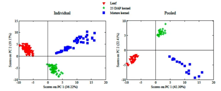 Figure 5. PCA score plots from individual or pooled plants showing tissue speciﬁcity of metabolomes.
