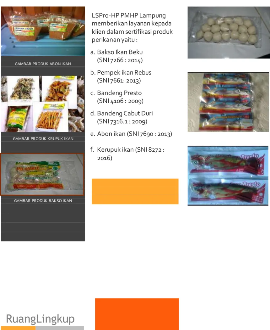 GAMBAR PRODUK BAKSO IKAN 