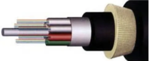 Gambar 2.18 Kabel Fiber Optik