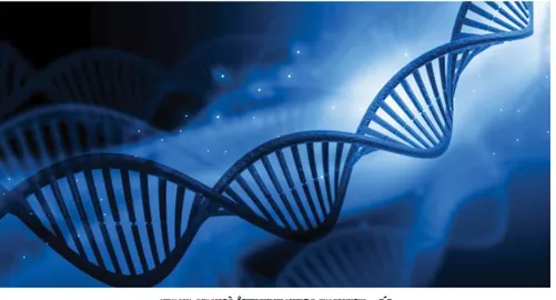 Gambar 9. DNA yang Tersusun Atas Nukleotida-nukleotida Sumber: Dokumentasi penulis