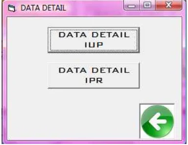 Gambar 4.10 Contoh Tampilan Data Detail IUP 