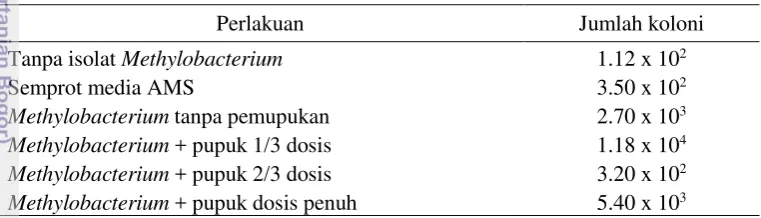 Tabel 8. Kelimpahan bakteri Methylobacterium daun kedelai pada 35 HST. 