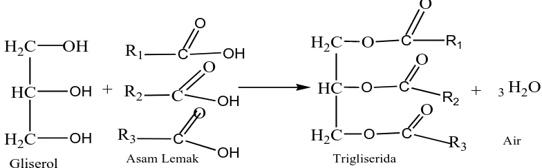 Gambar 2.1. Reaksi Pembentukan Trigliserida dari Gliserol dan Asam Lemak.  