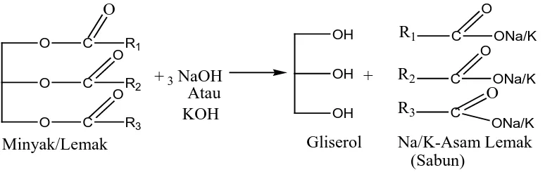 Gambar 2.2. Reaksi Hidrolisis Minyak dan Lemak. 