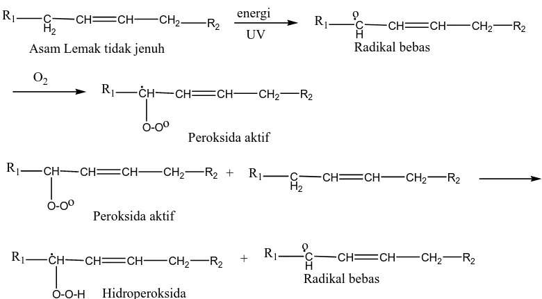 Gambar 2.4. Reaksi Pembentukan Hidroperoksida Akibat Oksidasi Minyak/Lemak. 