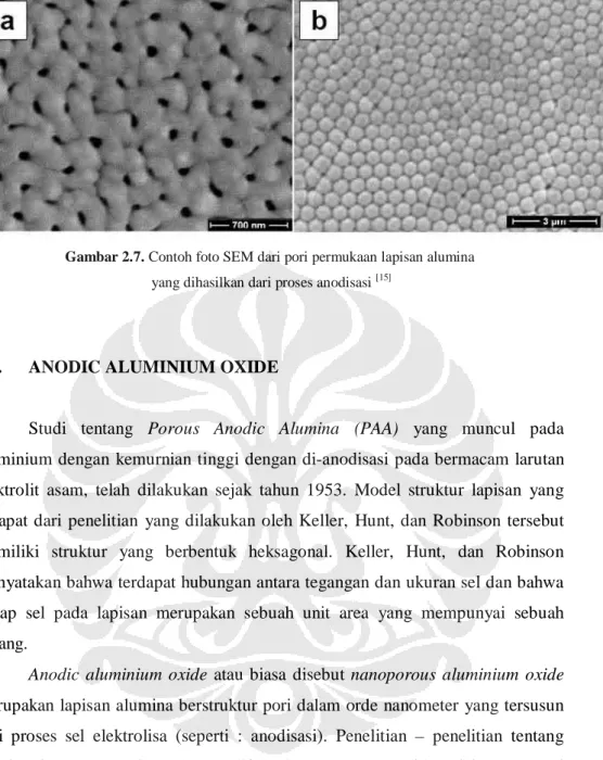 Gambar 2.7. Contoh foto SEM dari pori permukaan lapisan alumina   yang dihasilkan dari proses anodisasi  [15] 