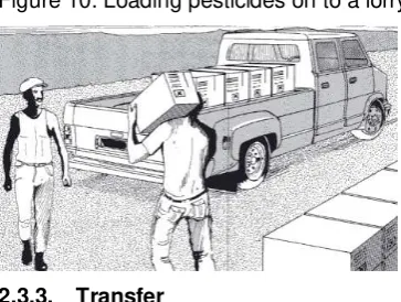 Figure 10. Loading pesticides on to a lorry 