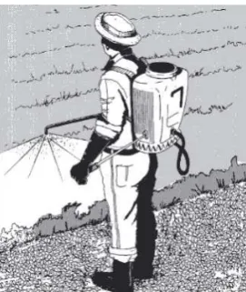 Figure 20. Correct method of using a knapsack sprayer 