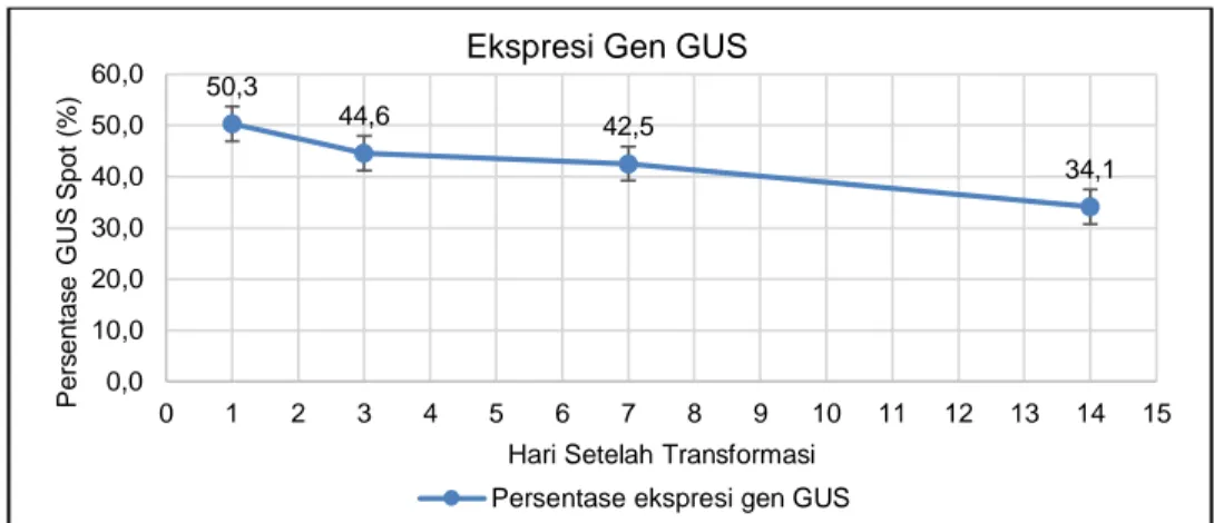 Gambar 2 Diagram intensitas ekspresi gen GUS hari setelah transformasi.  meregenarasi  eksplan  yang  telah 