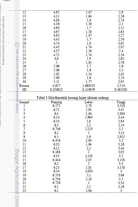 Tabel 3 Morfometrik kerang hijau ukuran sedang 
