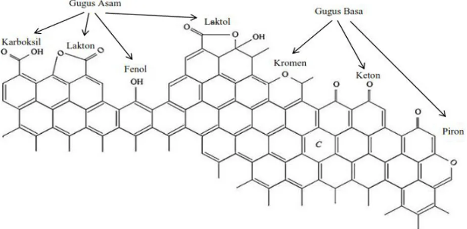 Gambar  5.  Permukaan  karbon  aktif  dengan  beberapa  tipe  gugus  yang  mengandung oksigen (Figueiredo dkk., 1999 ).