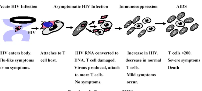 Gambar 2. Patogenesa HIV