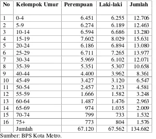 Tabel 12. Jumlah Penduduk Kota Metro menurut Kelompok Umur danJenis Kelamin Tahun 2008.